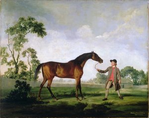 アンカスター公のベイスタリオンスペクテイター。